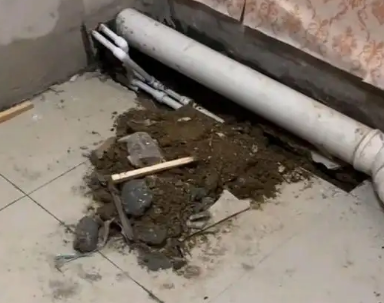 沙依巴克卫生间漏水检测哪家好